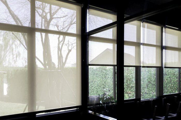 Protections solaires des fenêtres