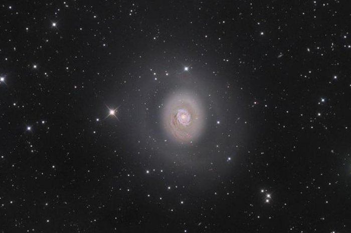 Catégorie "Galaxies" : "M94 - Deep Space Halo", de Nicolas Outters