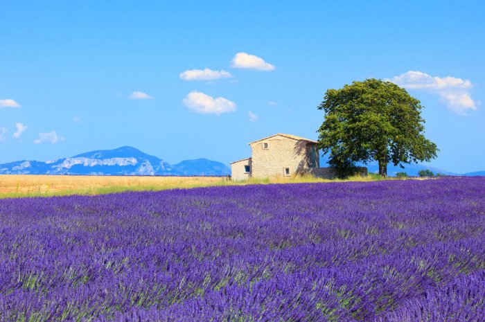 Provence-Alpes-Côte d'Azur : moins de -8% par rapport à la moyenne nationale