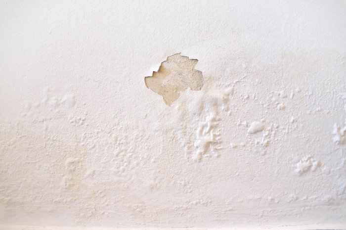 4 - Les murs s’écaillent, le papier-peint cloque ou gondole