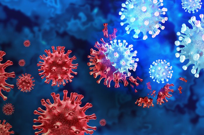1- Les cas de contamination au coronavirus sont en forte croissance
