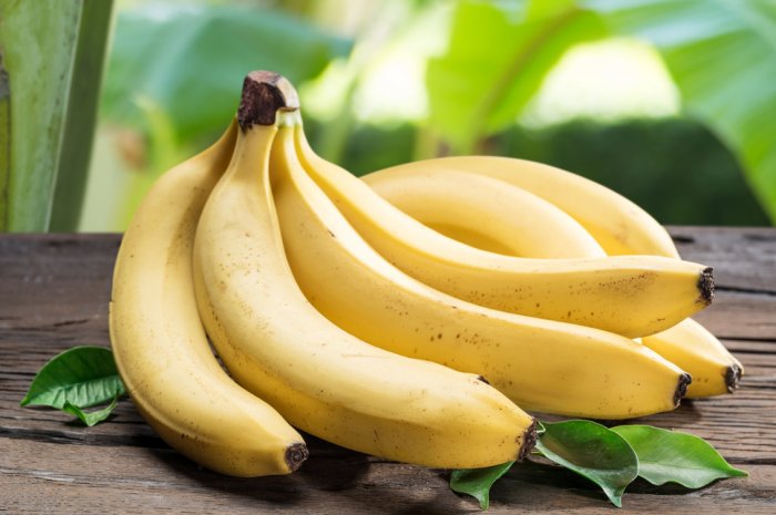 Protégez la queue des bananes