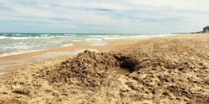 Vendée : un homme de 21 ans, enseveli dans le sable, meurt noyé