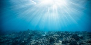 Journée mondiale de la mer : quelles initiatives pour protéger nos océans ? 