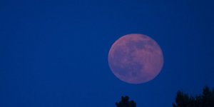 Phénomène de Lune rose : c'est quoi au juste ?
