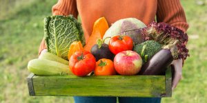 Fruits et légumes bio : les marges "exorbitantes" des supermarchés
