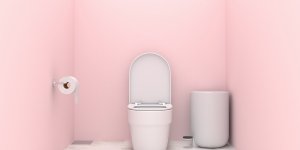 Toilettes : 5 astuces efficaces pour les déboucher sans ventouse