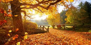 Météo d'automne : les 20 villes les plus ensoleillées de France