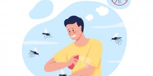 Moustiques : pourquoi il ne faut pas tout miser sur la citronnelle