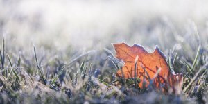 Météo de l'hiver : les prévisions pour décembre, janvier et février