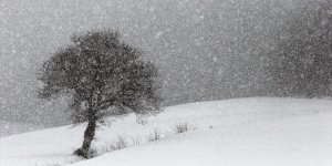 Météo : de la neige attendue cette semaine dans 55 départements 
