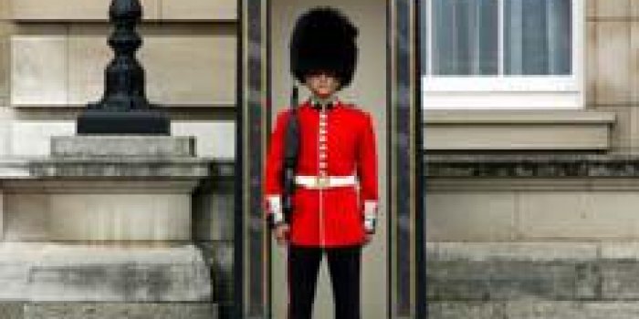 Le prince Andrew arrêté à Buckingham Palace !