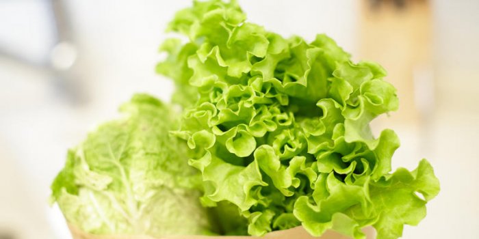L’astuce pour conserver sa salade le plus longtemps possible ?