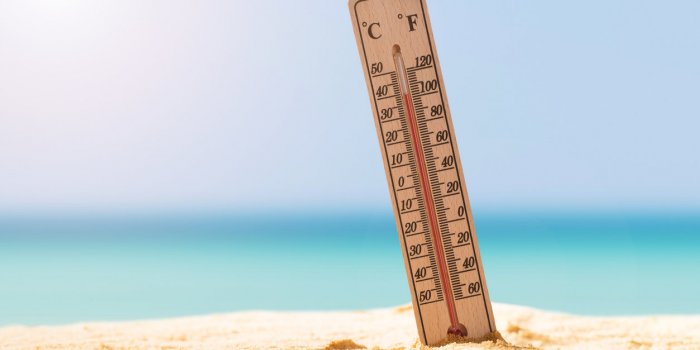 L’été en France : Météo France prévoit un « scénario plus chaud que la normale »