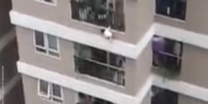 VIDEO. Une fillette de 2 ans chute du 12e étage avant d’être rattrapée par un livreur