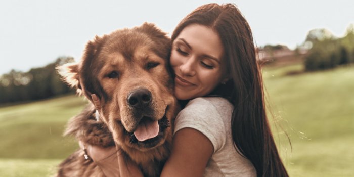 Covid-19 : les propriétaires de chien ont plus de risques de contracter le virus
