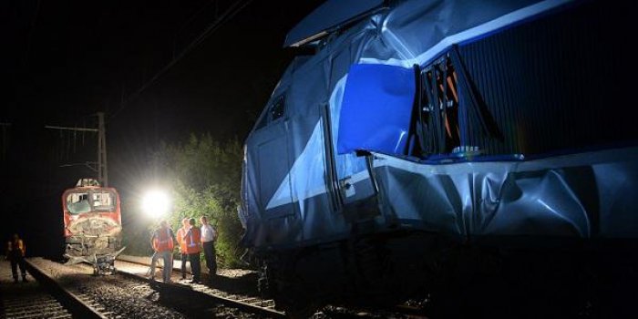 Pyrénées-Atlantiques : des rongeurs responsables de la collision entre le TGV et le TER