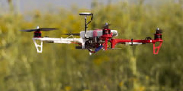 Floride : bientôt des drones pour chasser les moustiques ?