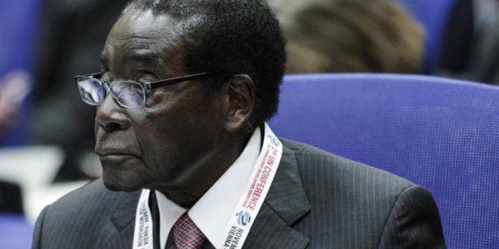 Lion, éléphants, buffles... le festin d'anniversaire du dictateur Mugabe