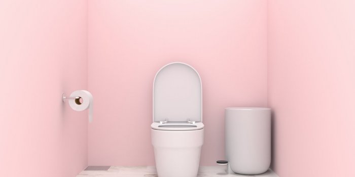 Toilettes : 5 astuces efficaces pour les d&eacute;boucher sans ventouse