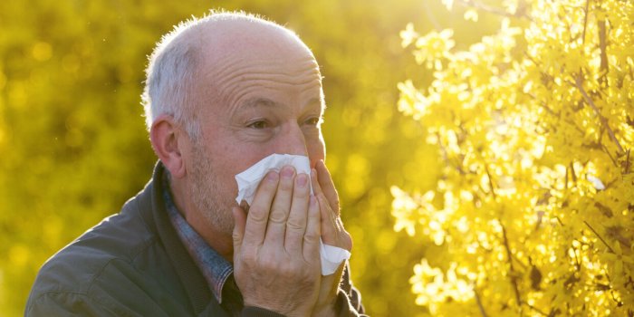 Allergie au pollen : Plus de 40 d&eacute;partements en alerte rouge en mai 
