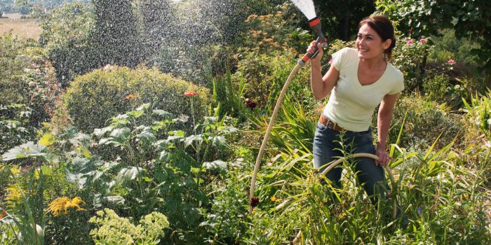 S&eacute;cheresse : 6 astuces pour r&eacute;duire la consommation d&rsquo;eau de votre jardin