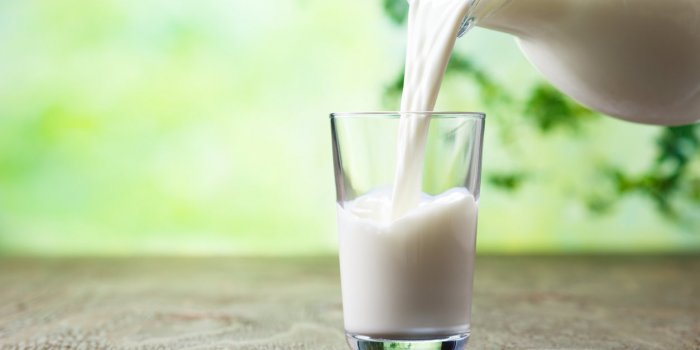 Produits laitiers : et s'ils périmaient moins vite que ce que vous pensiez ?