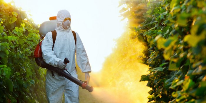Pesticides : les 10 aliments les plus souvent contamin&eacute;s