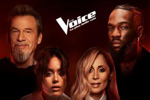 The Voice jury