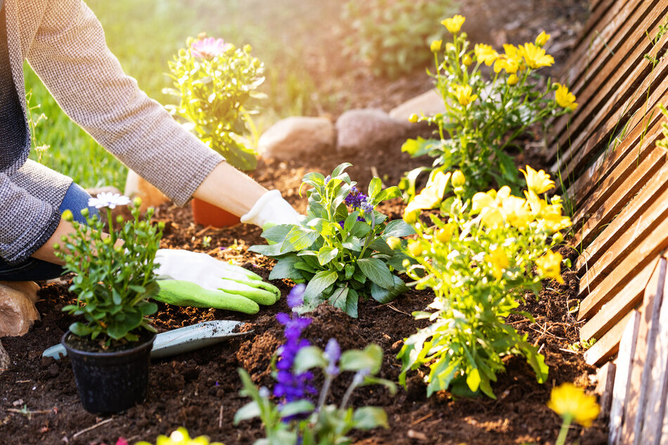 Jardin : voici 7 astuces pour jardiner sans se ruiner