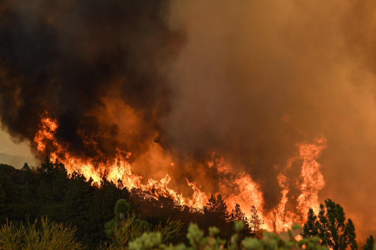 Bretagne : le Morbihan et le Finistère touchés par les incendies