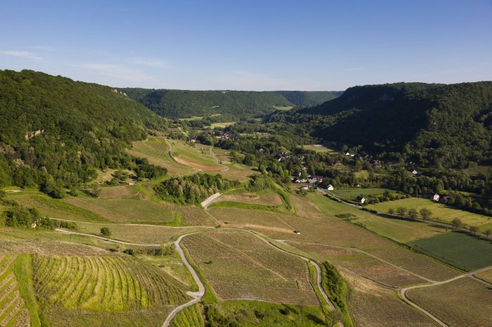 1. Bourgogne-Franche-Comté : +6% 