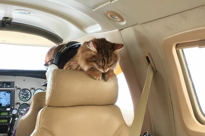 Petite sieste confortable dans un jet privé