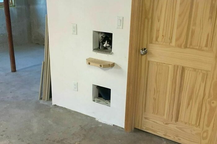 Une installation pratique pour votre chat