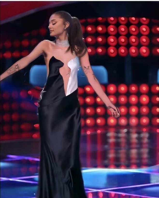 La star Ariana Grande adopte le style robe à chats