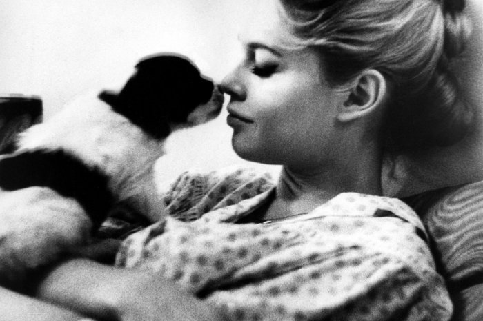 Brigitte Bardot en 1958