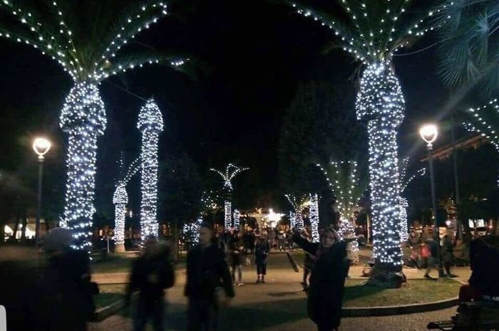 Des palmiers illuminés à la forme coquine