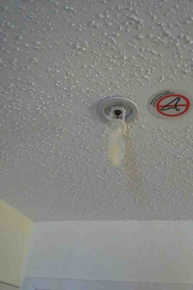 Un préservatif accroché à l'extincteur automatique du plafond 