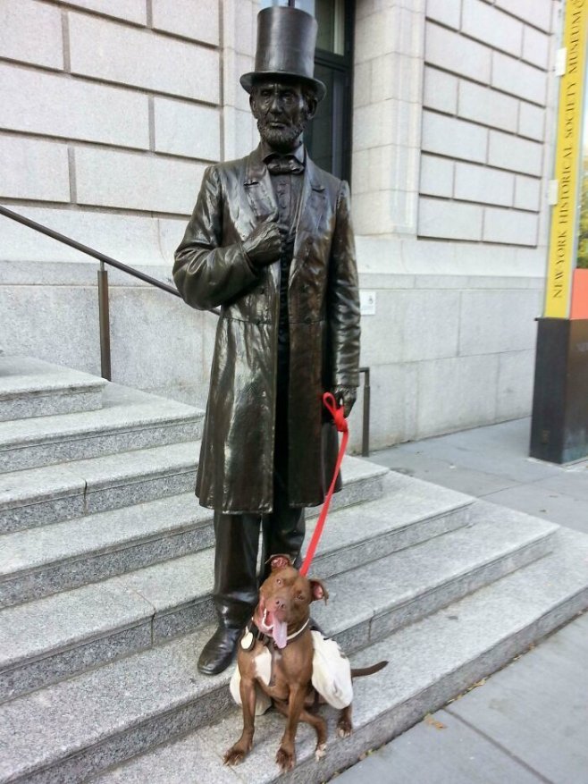 Abraham Lincoln, le célèbre promeneur de chiens 