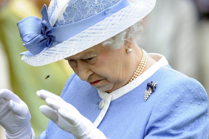 Elizabeth II en 2012