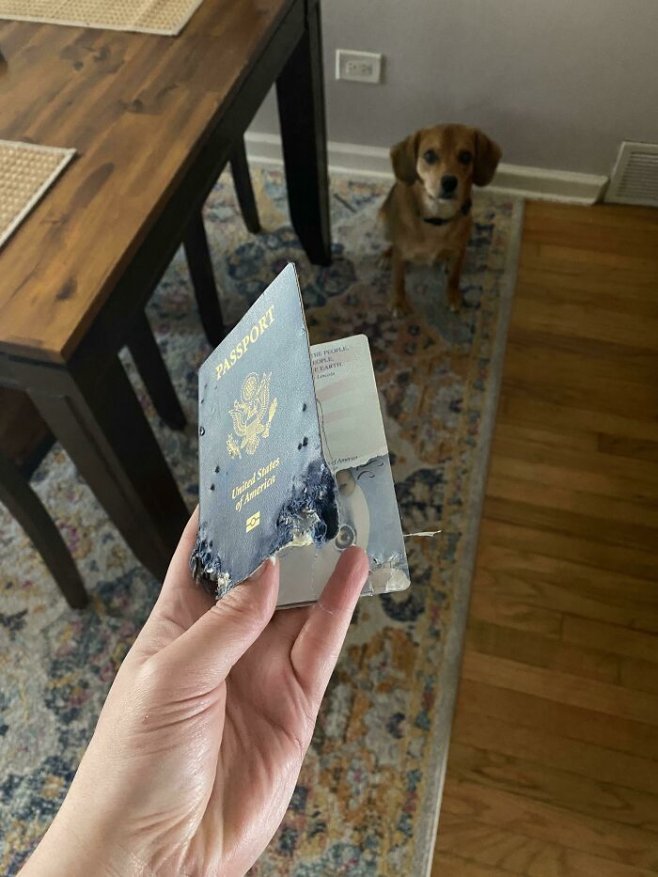 Pas de passeport = pas de voyage