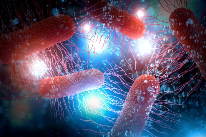 Des traces de la bactérie E. coli détectées bien avant le scandale