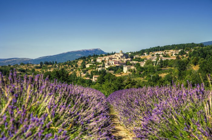 11. Provence-Alpes-Côte d’Azur