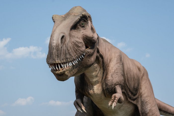 4. Côte Bleue : Dinosaur'Istres, le Jurassic Park français 