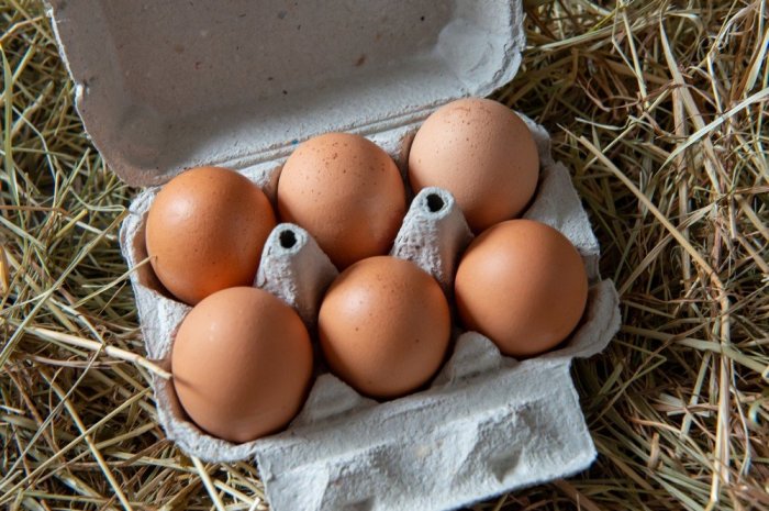 Boîte de 6 œufs extra-frais de la marque Œufs de nos régions 