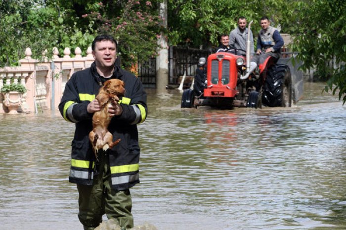 Balkans inondés : au moins 44 personnes décédées et dizaines de milliers d’autres sinistrées