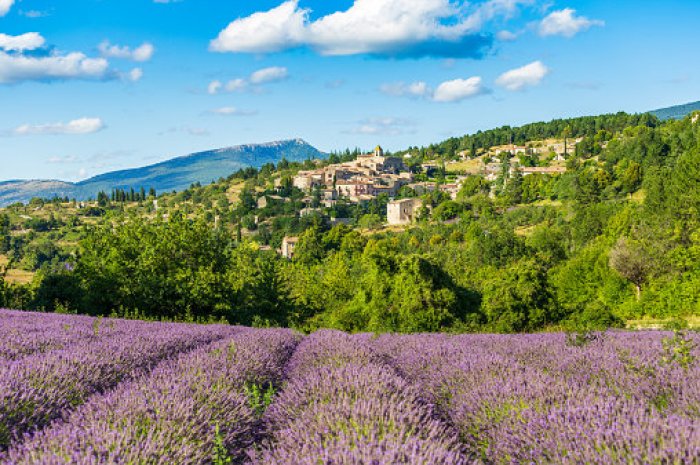 En Provence 