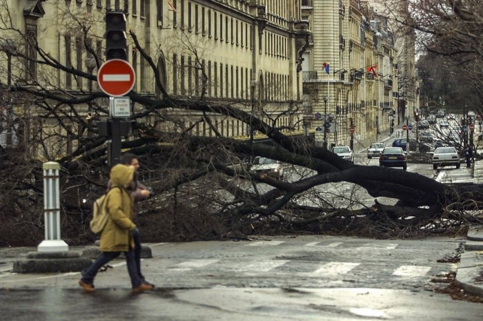 Un arbre couché sur une avenue de Paris après le passage de la tempête Lothar