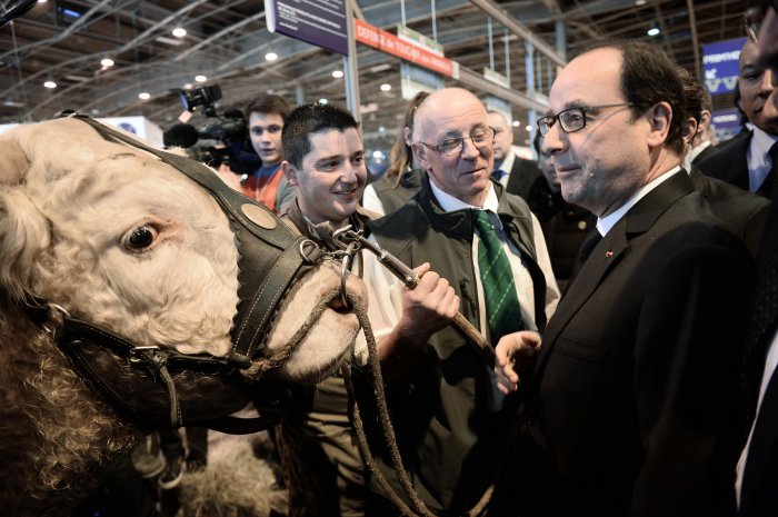 François Hollande au Salon de l'agriculture