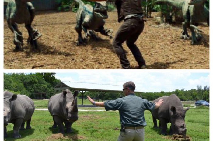 Les gardiens de zoo parodient avec humour Jurassic World